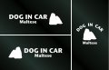 ドッグステッカー『DOG IN CAR』マルチーズ 3枚組