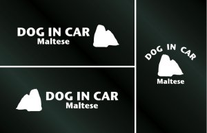 画像1: ドッグステッカー『DOG IN CAR』マルチーズ 3枚組
