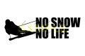 NO SNOW NO LIFE ステッカー スキー4 (Sサイズ)