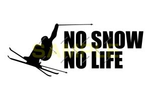 画像1: NO SNOW NO LIFE ステッカー スキー2 (Sサイズ)