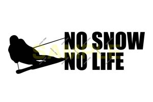 画像1: NO SNOW NO LIFE ステッカー スキー4 (Lサイズ)