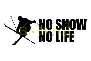 画像1: NO SNOW NO LIFE ステッカー スキー1 (Sサイズ)