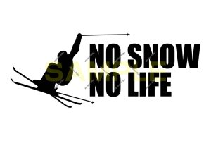 画像1: NO SNOW NO LIFE ステッカー スキー2 (Lサイズ)