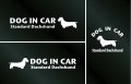 ドッグステッカー『DOG IN CAR』スタンダードダックスフンド ワイヤーヘアード 3枚組