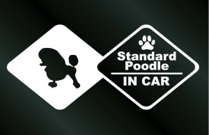画像1: ドッグステッカー スタンダードプードルA IN CAR