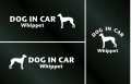 ドッグステッカー『DOG IN CAR』ウィペット 3枚組
