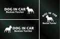ドッグステッカー『DOG IN CAR』ボストンテリア 3枚組