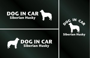 画像1: ドッグステッカー『DOG IN CAR』シベリアンハスキー 3枚組