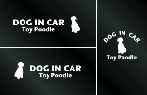 画像1: ドッグステッカー『DOG IN CAR』トイプードル Cタイプ 3枚組