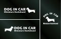 ドッグステッカー『DOG IN CAR』ミニチュアダックスフンド ワイヤーヘアード 3枚組