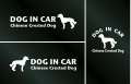 ドッグステッカー『DOG IN CAR』チャイニーズクレステッドドッグ ヘアレス 3枚組