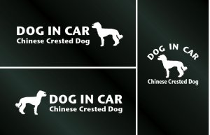 画像1: ドッグステッカー『DOG IN CAR』チャイニーズクレステッドドッグ ヘアレス 3枚組