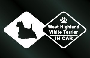 画像1: ドッグステッカー  ウエストハイランドホワイトテリア IN CAR