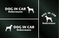 ドッグステッカー『DOG IN CAR』ドーベルマン 3枚組