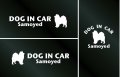 ドッグステッカー『DOG IN CAR』サモエド 3枚組