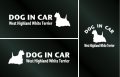 ドッグステッカー『DOG IN CAR』ウエストハイランドホワイトテリア 3枚組
