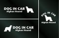 ドッグステッカー『DOG IN CAR』アフガンハウンド 3枚組