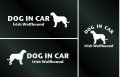 ドッグステッカー『DOG IN CAR』アイリッシュウルフハウンド 3枚組