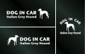 ドッグステッカー『DOG IN CAR』イタリアングレーハウンド 3枚組