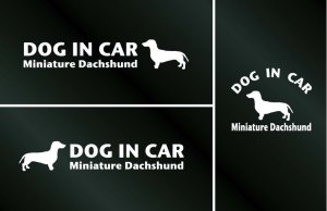 画像1: ドッグステッカー『DOG IN CAR』ミニチュアダックスフンド スムースヘアード 3枚組