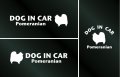 ドッグステッカー『DOG IN CAR』ポメラニアン 3枚組