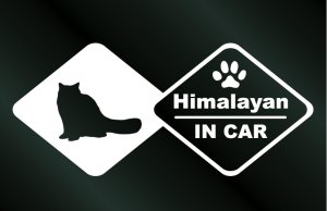 画像1: キャットステッカー ヒマラヤン IN CAR