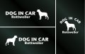 ドッグステッカー『DOG IN CAR』ロットワイラー 3枚組