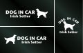 ドッグステッカー『DOG IN CAR』アイリッシュセター 3枚組