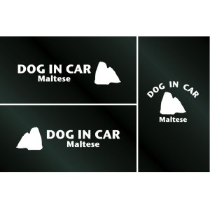 画像: ドッグステッカー『DOG IN CAR』マルチーズ 3枚組