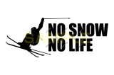 画像: NO SNOW NO LIFE ステッカー スキー2 (Sサイズ)