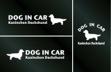 画像: ドッグステッカー『DOG IN CAR』カニンヘンダックスフンド ロングヘアード 3枚組