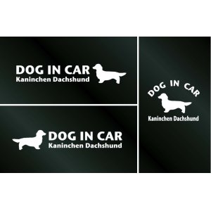 画像: ドッグステッカー『DOG IN CAR』カニンヘンダックスフンド ロングヘアード 3枚組