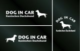 画像: ドッグステッカー『DOG IN CAR』カニンヘンダックスフンド スムースヘアード 3枚組