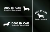 画像: ドッグステッカー『DOG IN CAR』スタンダードダックスフンド スムースヘアード 3枚組