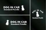 画像: ドッグステッカー『DOG IN CAR』スタンダードプードルC 3枚組