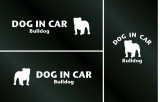 画像: ドッグステッカー『DOG IN CAR』ブルドッグ 3枚組