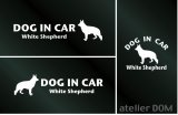 画像: ドッグステッカー『DOG IN CAR』ホワイトシェパード 3枚組