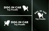 画像: ドッグステッカー『DOG IN CAR』トイプードル Aタイプ 3枚組