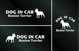 画像: ドッグステッカー『DOG IN CAR』ボストンテリア 3枚組
