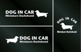 画像: ドッグステッカー『DOG IN CAR』ミニチュアダックスフンド ロングヘアード 3枚組