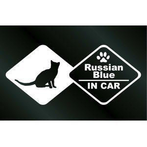 画像: キャットステッカー ロシアンブルー IN CAR