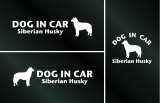 画像: ドッグステッカー『DOG IN CAR』シベリアンハスキー 3枚組