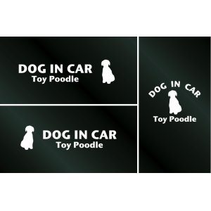 画像: ドッグステッカー『DOG IN CAR』トイプードル Cタイプ 3枚組