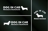 画像: ドッグステッカー『DOG IN CAR』ミニチュアダックスフンド ワイヤーヘアード 3枚組