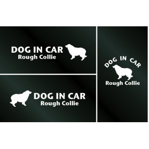 画像: ドッグステッカー『DOG IN CAR』ラフコリー 3枚組