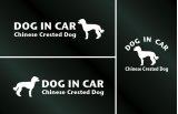 画像: ドッグステッカー『DOG IN CAR』チャイニーズクレステッドドッグ ヘアレス 3枚組