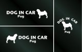 画像: ドッグステッカー『DOG IN CAR』パグ 3枚組