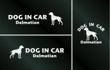 画像: ドッグステッカー『DOG IN CAR』ダルメシアン 3枚組