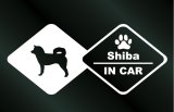 画像: ドッグステッカー  柴犬 IN CAR