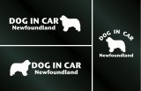 画像: ドッグステッカー『DOG IN CAR』ニューファンドランド 3枚組